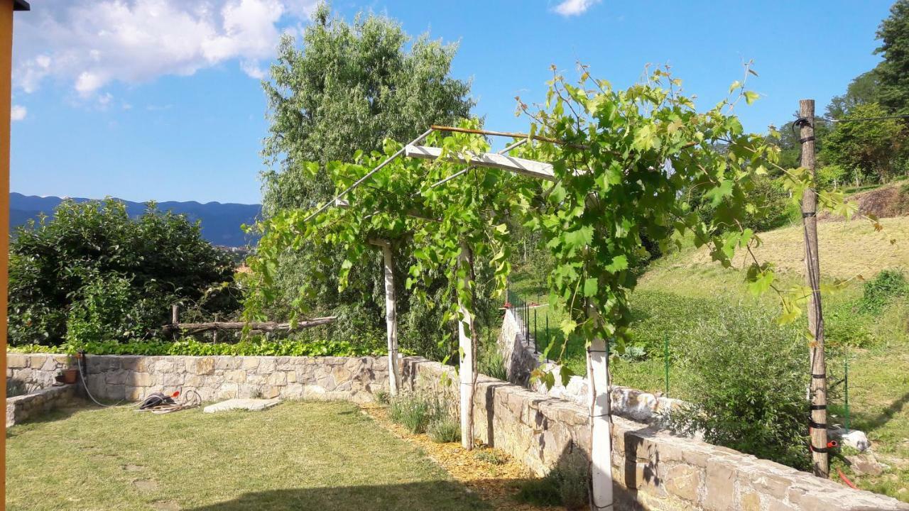 Gasthaus Pocitniska Hisa Dobravlje Exterior foto