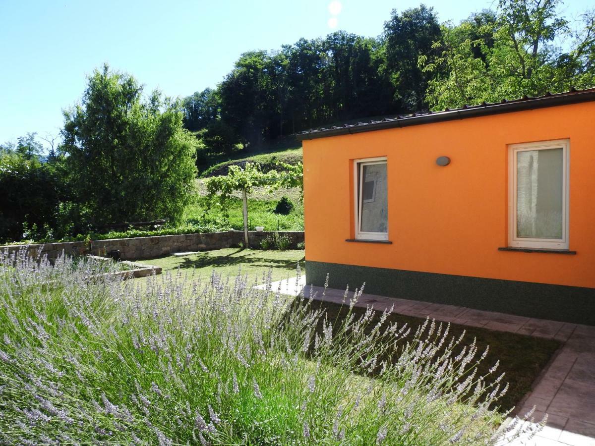 Gasthaus Pocitniska Hisa Dobravlje Exterior foto